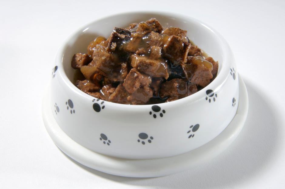 pasja hrana, pes, hrana | Avtor: Profimedia