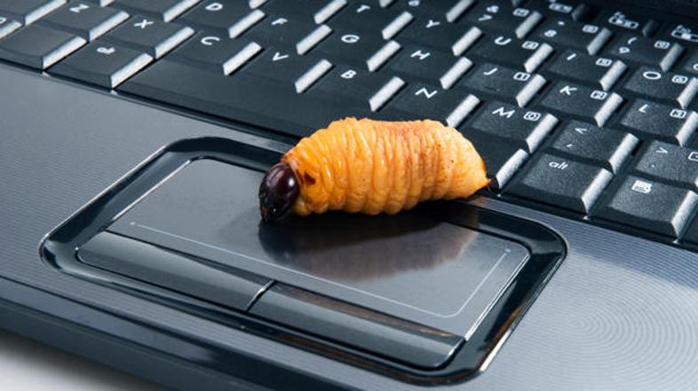 Za informacijo o avtorju črva, ki bi pripeljala do obsodbe na sodišču, je Micros