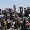 Borci proti skupini Boko Haram