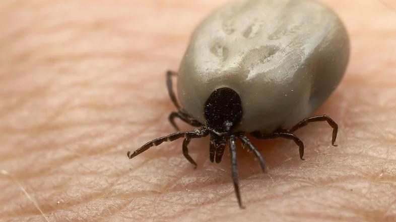 Tzlepotazdravje 20.10.11, klop, foto: shutterstock