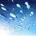 Znanstveniki so odkrili "stopalko za plin" sperme. (Foto: iStockphoto)