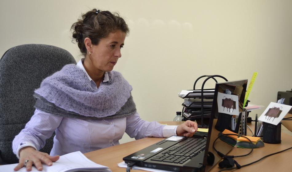 Javni sektor: Nekateri šefi so zaposlenim uredili višje plače