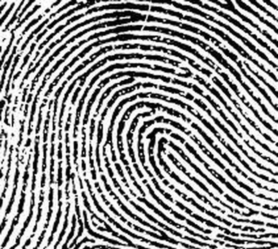 Prstni odtis