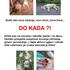 Zatrupljanje psov v Zagrebu