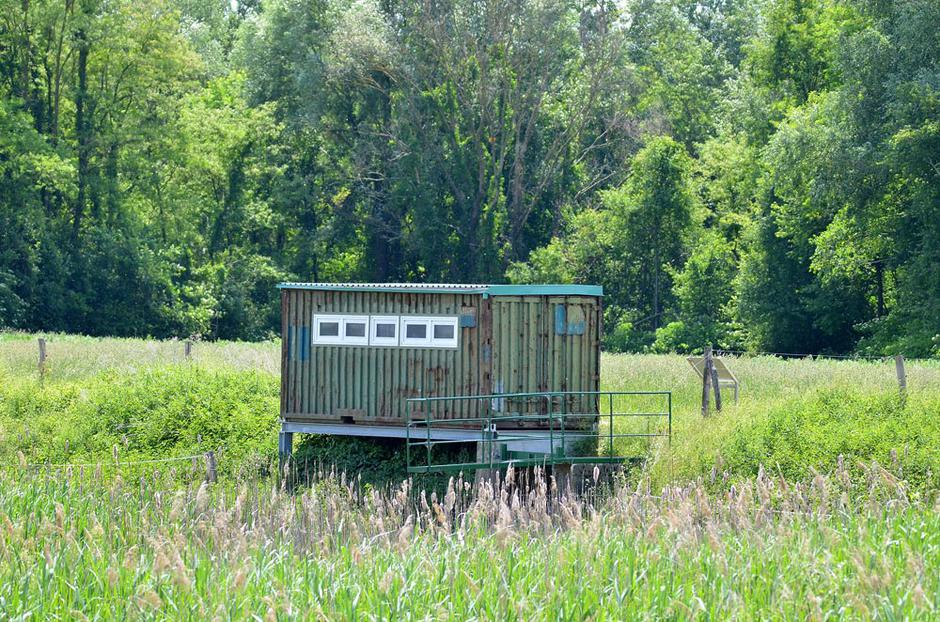 Ormoške lagune | Avtor: Vojko Strahovnik