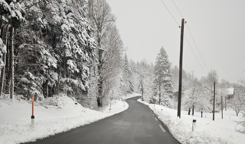 Zato bo leto 2026 posebno!