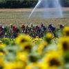 tour de france