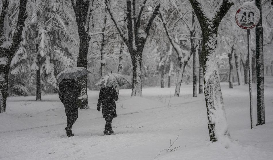 Dramatične razmere zaradi snega: Avtocesta zaprta, javni promet kolapsiral