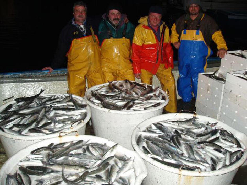 Ribiči so zadovoljni z ulovom.