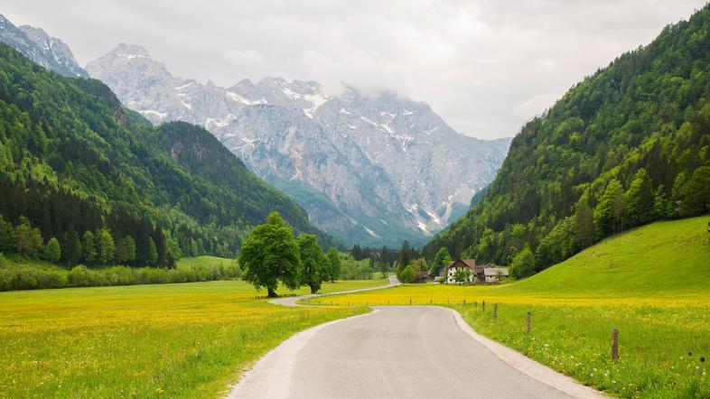 Logarska dolina