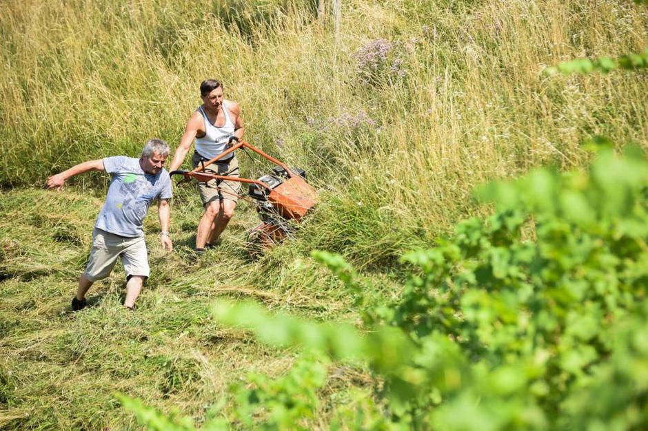 Predsednik republike Borut Pahor | Avtor: Facebook račun predsednika republike Boruta Pahorja