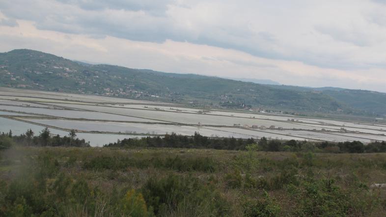 slovenija 04.03.13. secoveljske soline, secovlje, razgled, pogled hrvaska, kaneg