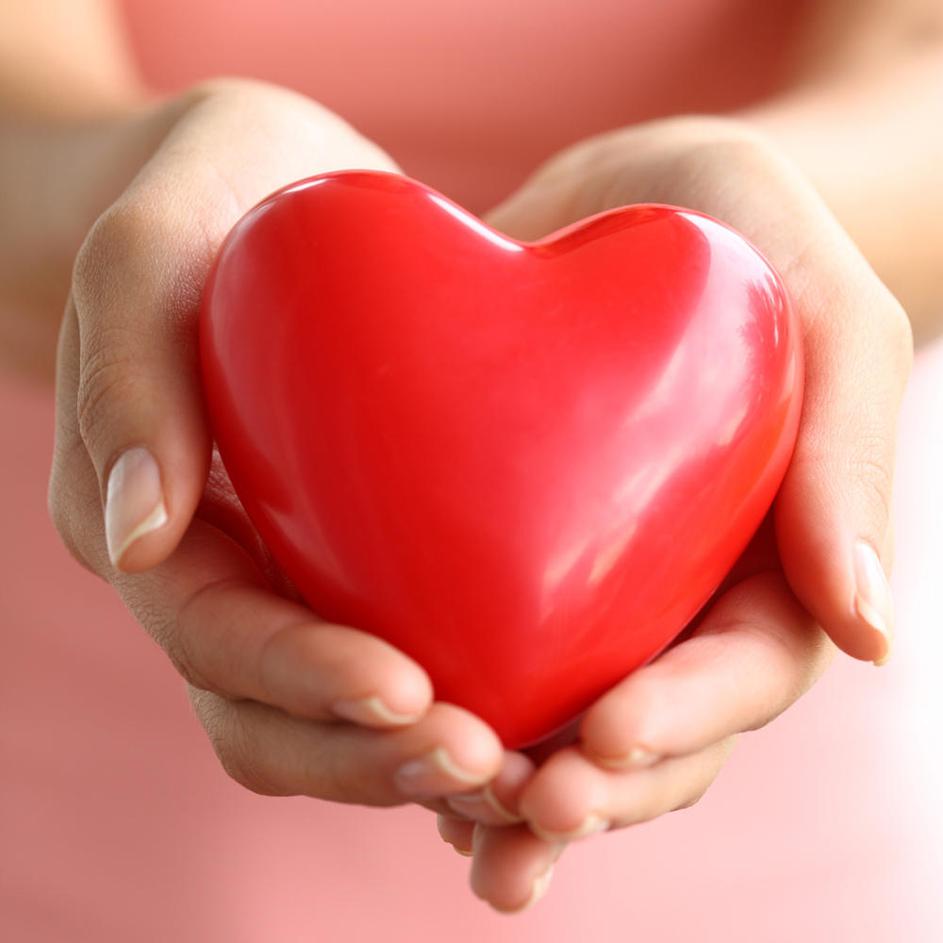 (Foto: Shutterstock)