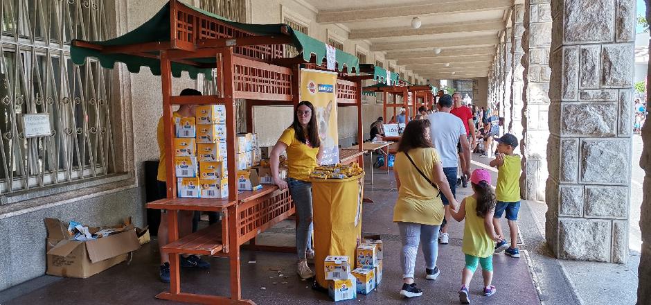 sejem | Avtor: M. K.