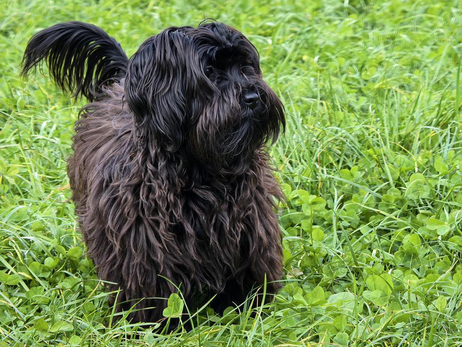 pura 80 ultra fotke | Avtor: D. J.