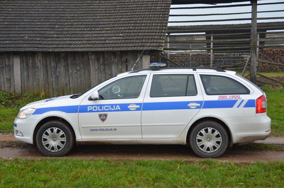 Tatovi žlebov v Bitnjah