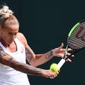 Polona Hercog