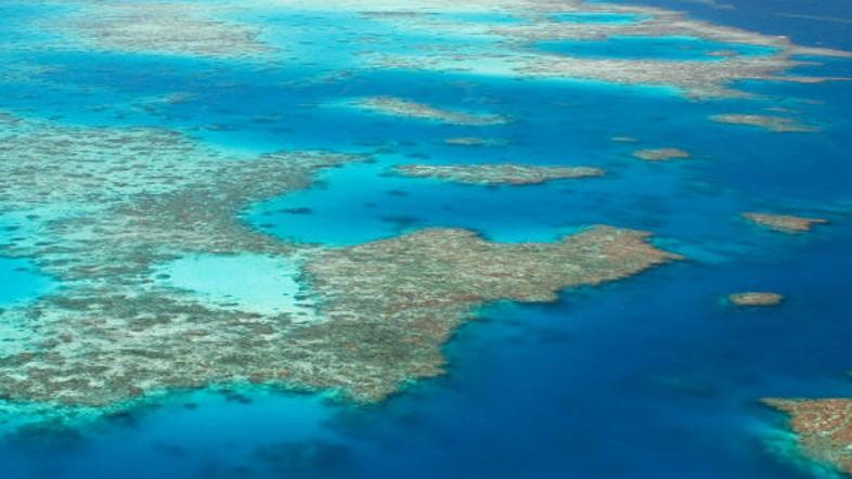 Avstralci bi radi k lepotam Velikega koralnega grebena zvabili več obiskovalcev.