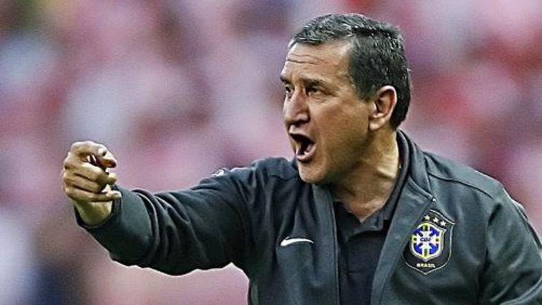 Carlos Alberto Parreira se bo vrnil v Brazilijo.
