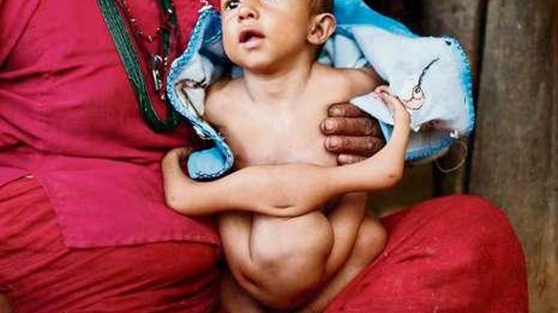 Za nekatere je Risab reinkarnacija boga Ganeša, za druge pa plod črne magije.