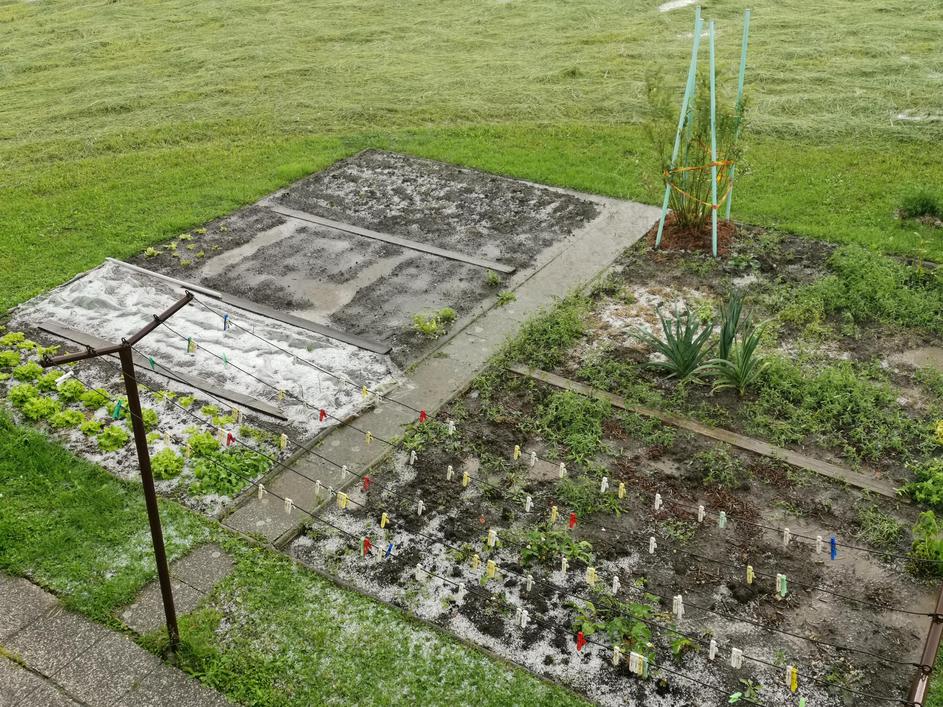 Nevihta s točo v Ljubljani