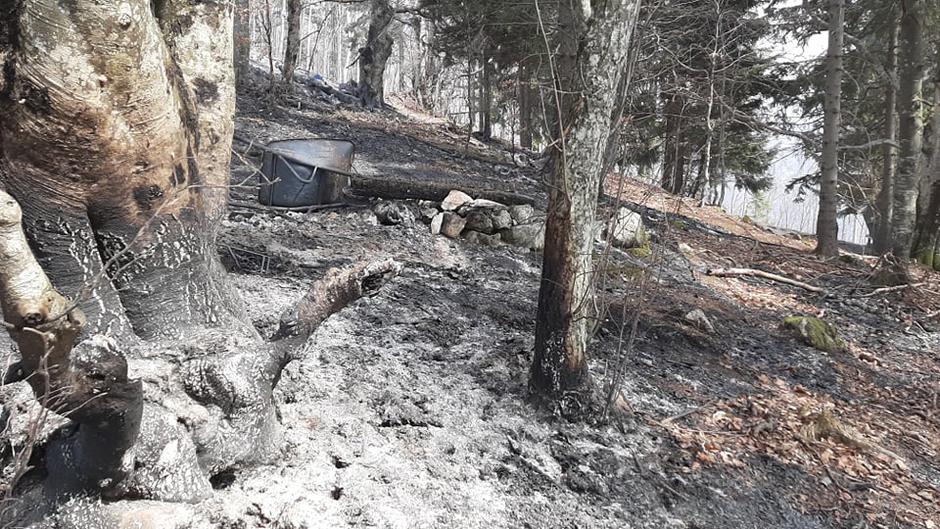 potoška gora, gozd, Preddvor, požar | Avtor: Bralec