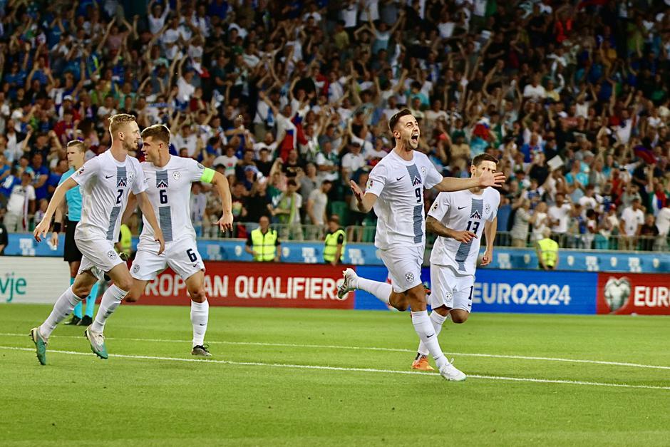 nogomet Slovenija - Danska | Avtor: Saša Despot