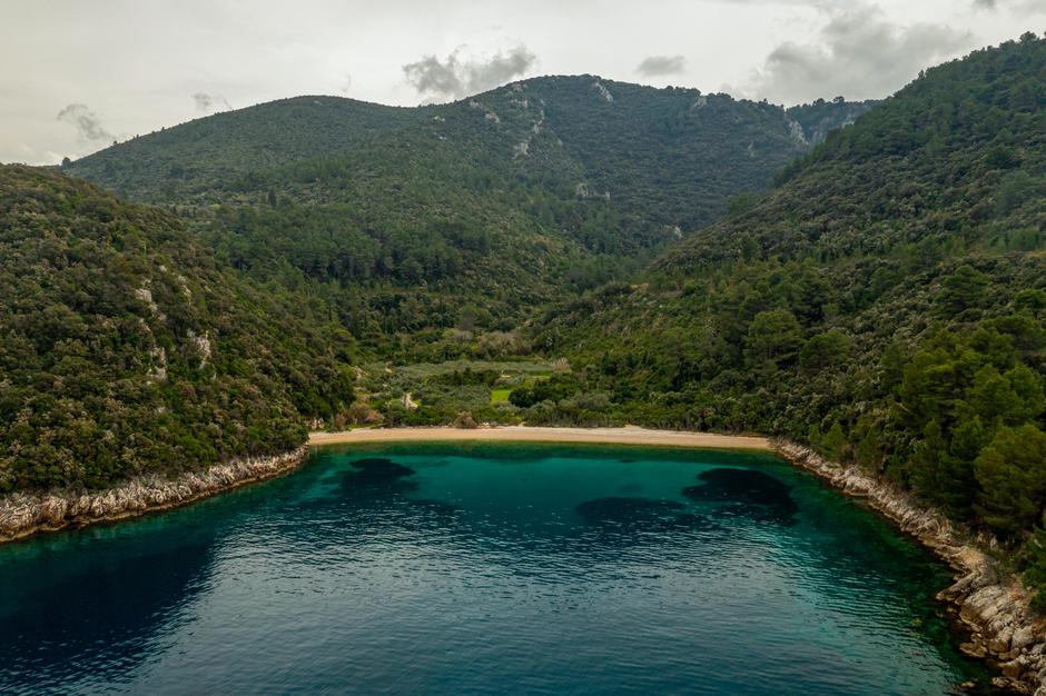  | Avtor: Dimitri Medvedev