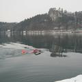 Zimsko plavanje v Blejskem jezeru 