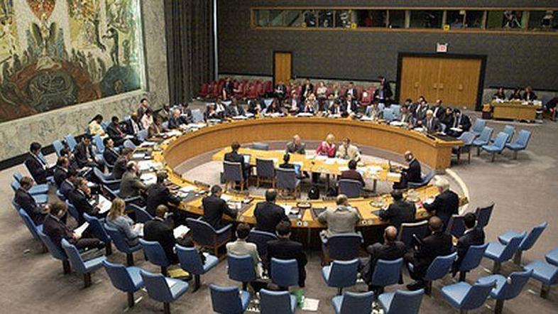V Varnostnem svetu ZN bodo od začetka naslednjega leta sedeli predstavniki novih