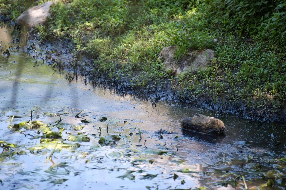 Kemis | Avtor: Anže Petkovšek