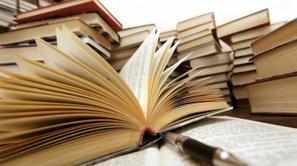 V Sloveniji v letu 2008 "najbolje kaže" višje- in visokošolsko izobraženim žensk