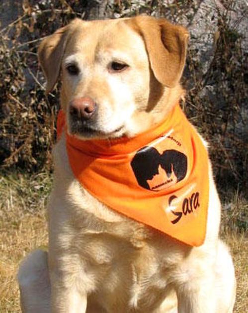 Ambasadorka Sara (Foto: Ambasadorji nasmeha)