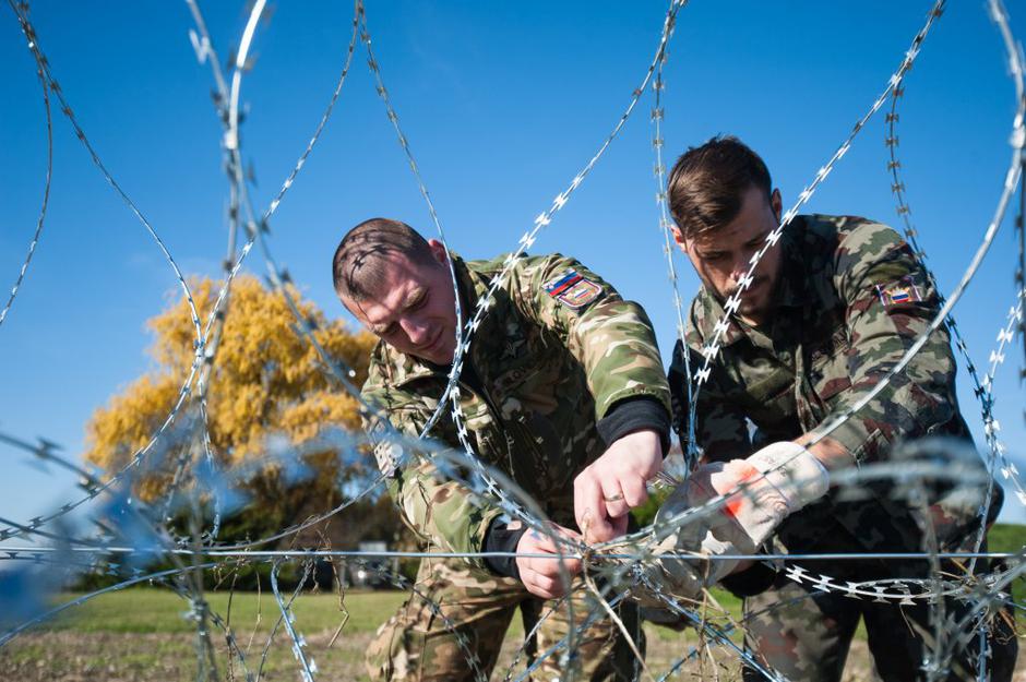 Gibina | Avtor: Anže Petkovšek