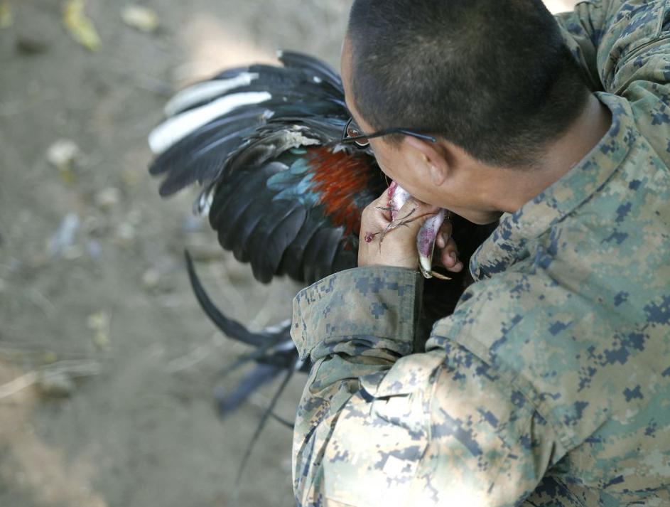 Urjenje enote Cobra Gold