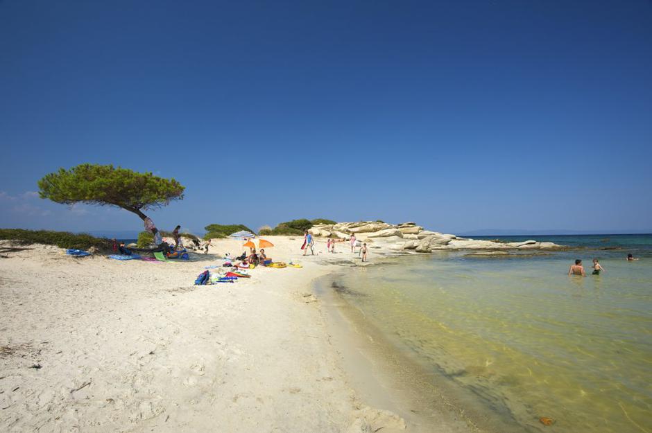 Halkidiki | Avtor: Profimedias