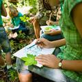 Šola v naravi