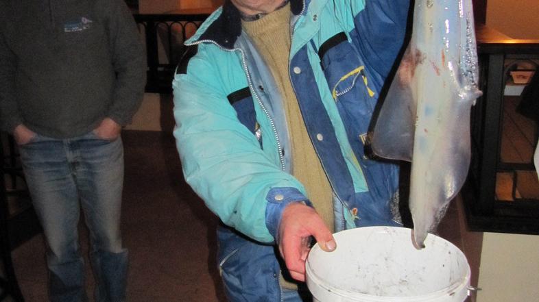 “Tako veliki so najboljši, če so pečeni na žaru v družbi prijateljev,” meni pira