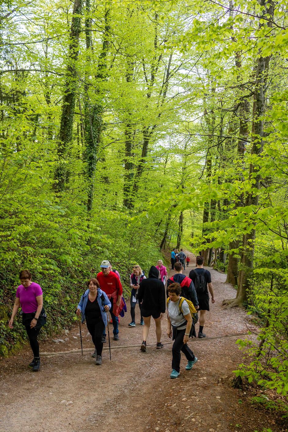 Šmarna gora | Avtor: Saša Despot