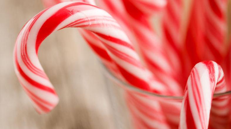 (Foto: Shutterstock)