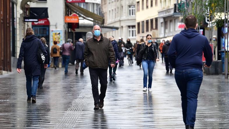 Množica ljudi, ki se sprehaja po Ljubljanski ulici.