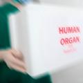 Darovanje organov Gettyimages