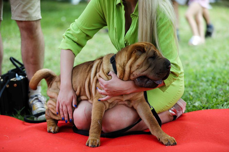 Festival za ljubitelje živali 2023 | Avtor: Saša Despot
