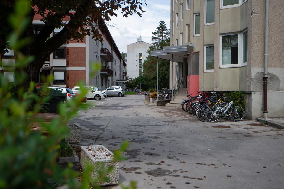 Rožna dolina | Avtor: Anže Petkovšek