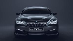BMW je za zdaj ponudil zgolj fotografije koncepta gran coupe. (Foto: BMW)