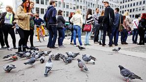 Slovenija 01.10.2013 studenti pred LPP prodajnim mestov na Bavarskem Dvoru v Lju
