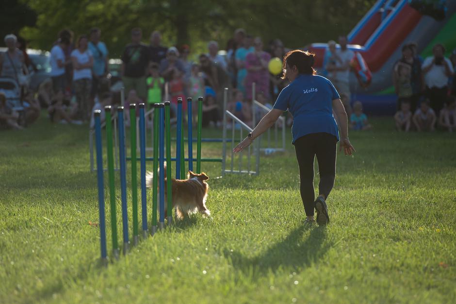 sejem | Avtor: Anže Petkovšek