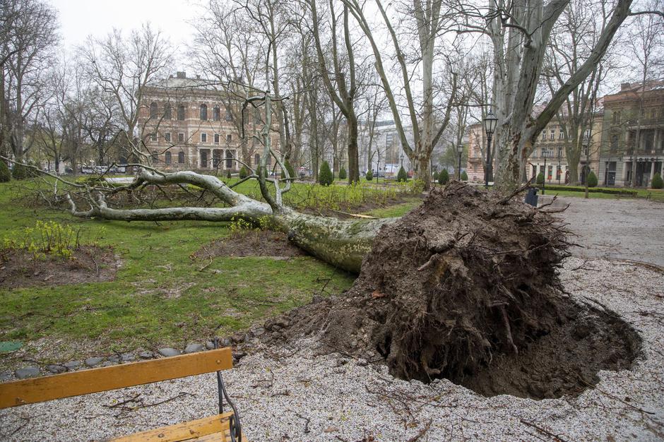 Posledice neurja, Zagreb, podrta drevesa | Avtor: Profimedia