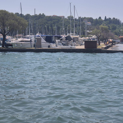Portoroška plaža, onesnažena z nafto