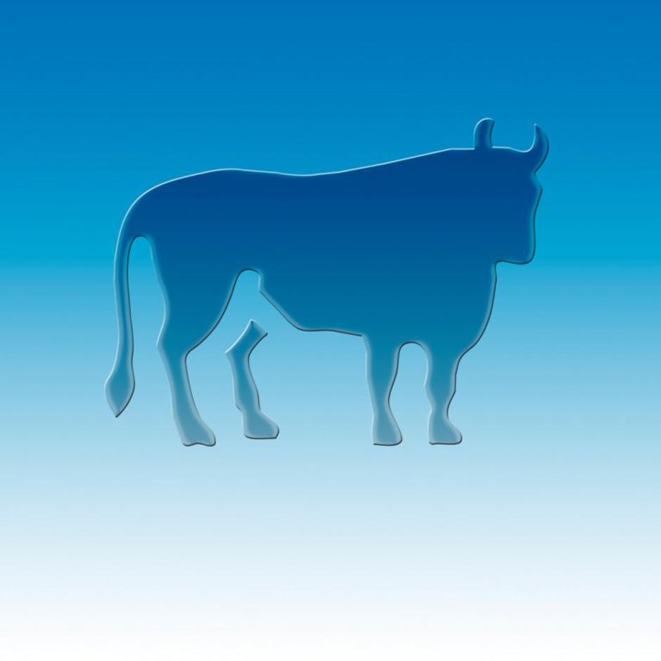 bik | Avtor: Žurnal24 main